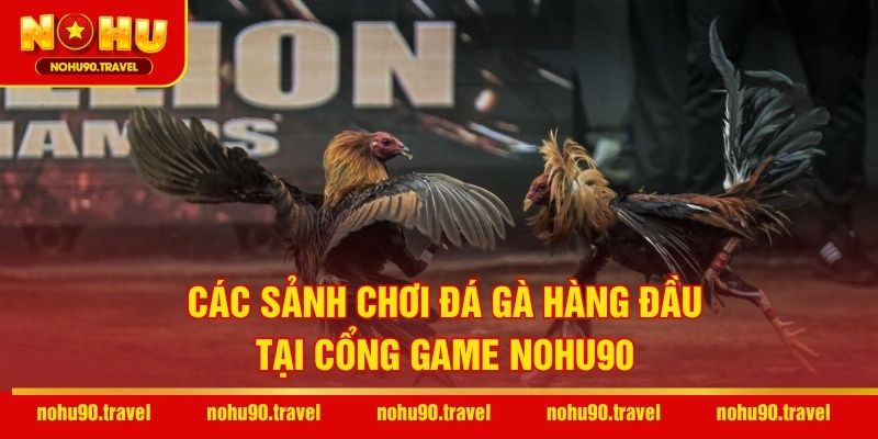Các sảnh chơi đá gà hàng đầu tại cổng game NOHU90