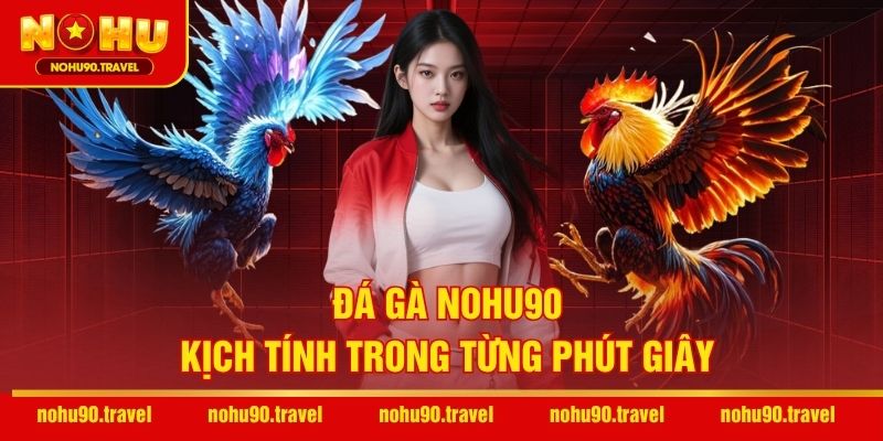 Đá gà NOHU90 – Kịch tính trong từng phút giây